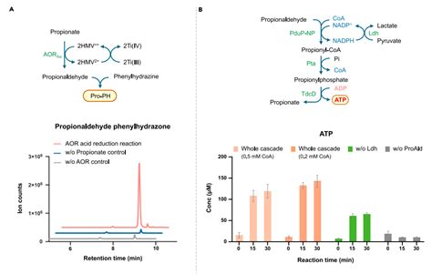 Choosing the Perfect Electronic Development Board for Your Project