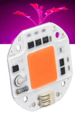 Chip on Board (COB) LED Grow Lights: Revolutionizing Indoor Horticulture