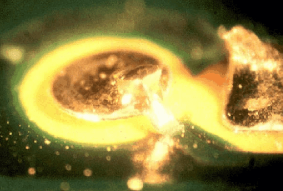 Choosing the Right Power IC to Optimize PCB Layout