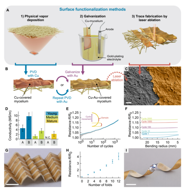 How to make a degradable PCB substrate